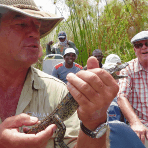 As a professional Safari Guide specializing in high-end tours across Southern Africa, Willi spent decades showing international guests the magic of the continent.